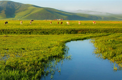 辣椒游旅游網(wǎng)