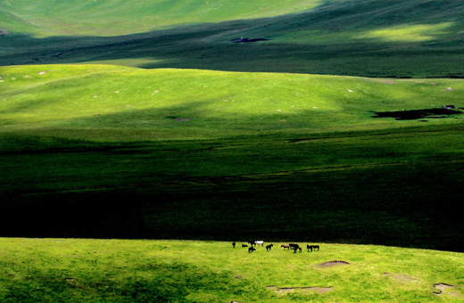 內(nèi)蒙古迪士牛食品有限公司